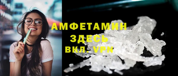 крисы Богородицк