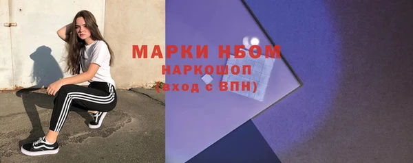 крисы Богородицк