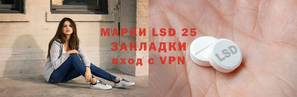 крисы Богородицк