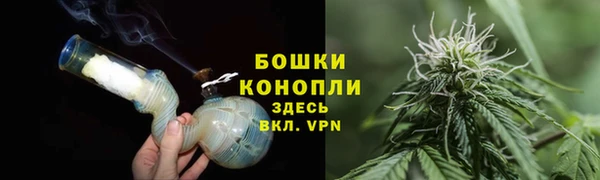 крисы Богородицк