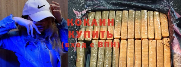 крисы Богородицк