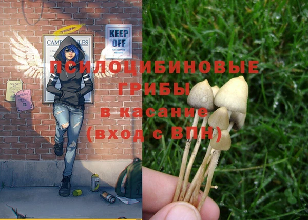 гашишное масло Бронницы