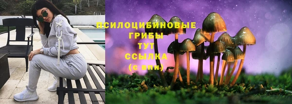 крисы Богородицк