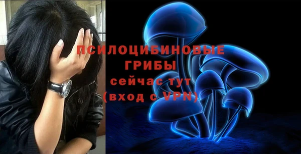 крисы Богородицк